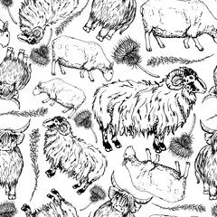 Ink hand drawn graphic vector sketch. Seamless pattern with scottish symbol objects. Sheep and horned ram, hairy coo cow, animals, thistle flower. Design for wallpaper, print, paper, textile, fabric. - obrazy, fototapety, plakaty