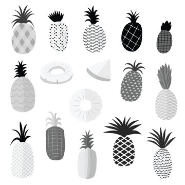 pineapple fruite icon black and white outlines vector illustration