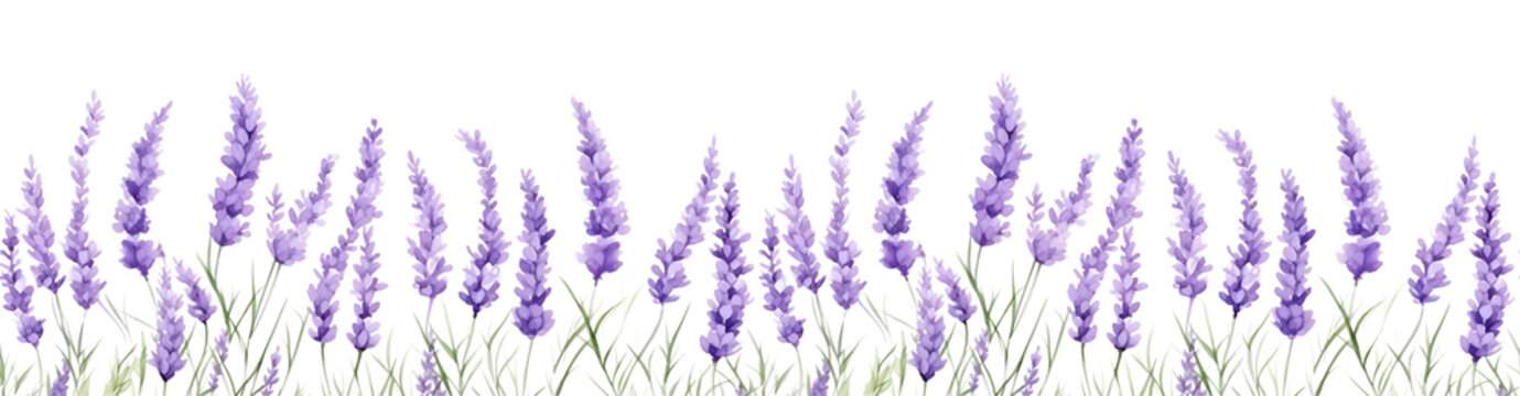 Seamless border of tender watercolor lavender flowers border on transparent background