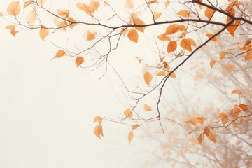 Thin branches with orange brown dry leaves in the white fog. Horizontal autumn morning nature concept. 