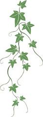 Simplicity ivy freehand drawing.
