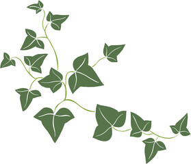 Simplicity ivy freehand drawing.