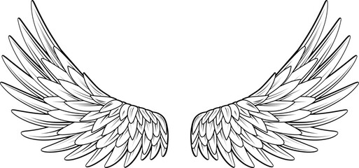 white eagle wings with black outline - on transparent background © mr.mmz
