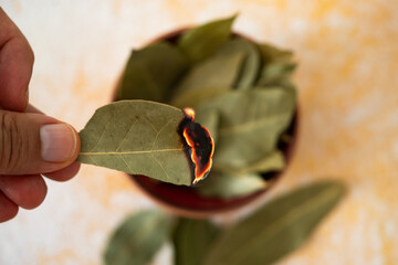 Burning bay leaves on vintage background