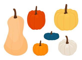 set of different ripe pumpkins on a white background. vector illustration. Thanksgiving, Halloween, harvest day.