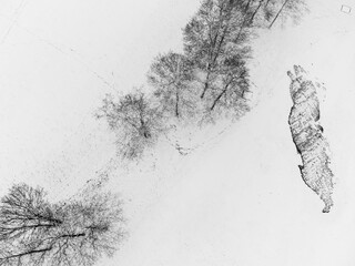 Aerial view of forest in winter season in Sweden. Nature drone photography taken in December. Beautiful bird's eye view of trees covered with snow, creating abstract pattern, background.