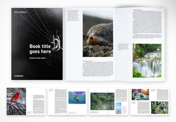Clean and Creative Brochure