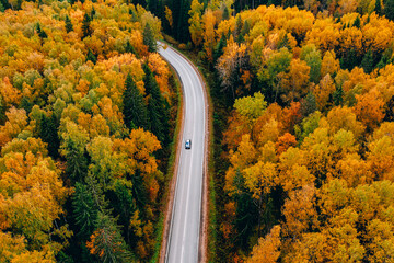 Aerial top view of road with car through fall forest with colorful leaves.