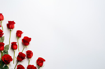 Red Roses isolated on white background to use as a card, greeting or wall art. Copy space.