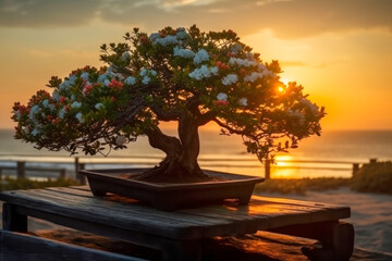 Bonsai on a wooden table at sunset. Generative AI.