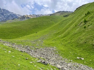 green slopes of grass in the mountains