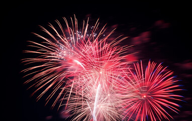 Fototapeta premium fireworks in the night sky