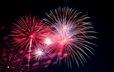 fireworks in the night sky