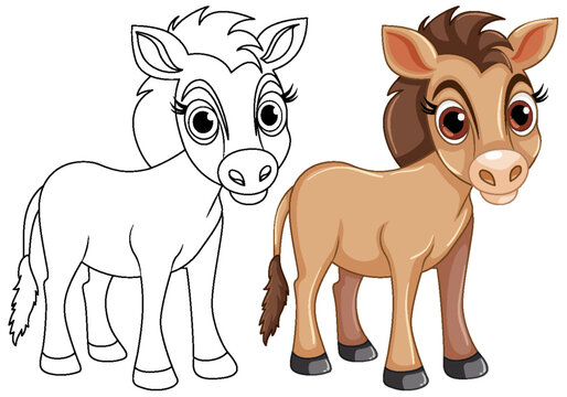 Cute horse cartoon animal and its doodle coloring character