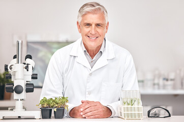 Science, botany and portrait of old man in laboratory for sustainability research, plant or biochemistry. Pharmacy, medical and healthcare with scientist and for product, ecology or agriculture study