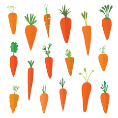Carrot Vector, Illustration, Vegetables, raw materials, condiments, organic fresh food healthy ingredients orange nature sweet juicy delicious tasty art design
