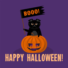 Disgruntled, angry black lop-eared cat with an orange pumpkin. The flag with Boooo. Congratulations on Halloween. Illustration on a purple background.