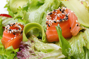 Salmon salad with avocado on a plate, close-up