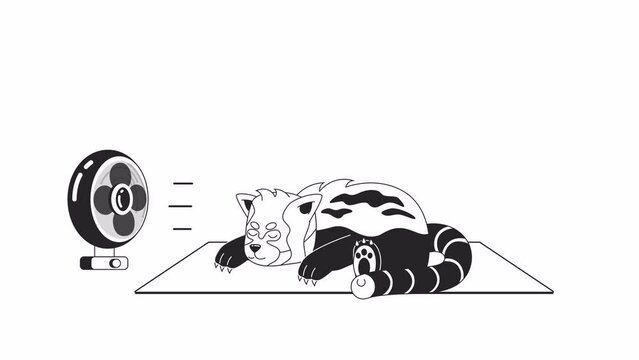 Fan blowing on sleeping red panda bw 2D character animation. Wind blowing ventilator in summer outline cartoon 4K video, alpha channel. Exotic bear lying animated animal isolated on white background
