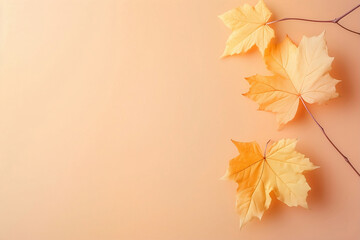 Naklejka na ściany i meble Beautiful Yellow Leaves on Soft Background