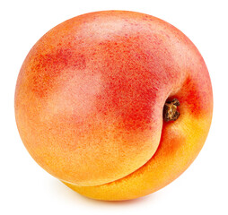 Apricot fruit isolated