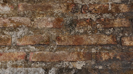 Old brick wall with crumbling and mossy plaster