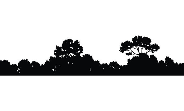 Forest silhouette, natural wild landscape. Editable vector foreground of woodlands. Tees black silhouettes, detailed illustration
