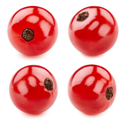Red currant with clipping path isolated