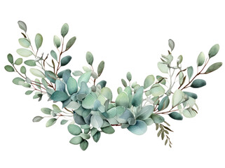 Eucalyptus leaves in watercolor isolated