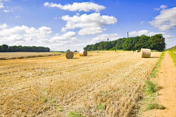 Fototapeta premium Wonderful rural walks in Doncaster.
