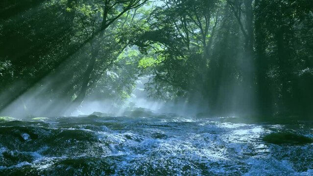 夏の絶景　幻想的な菊池渓谷の光芒
