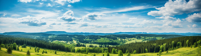 Panoramic banner showcasing an extensive and elongated perspective of a forested landscape with trees in the Black Forest region of Germany.  - obrazy, fototapety, plakaty