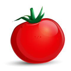 Vector red tomato on white background