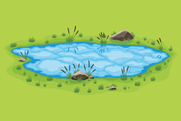 Picturesque natural pond. Concept of open small swamp lake. Water pond with reeds and stone. Natural countryside landscape. Multicolour game scene
