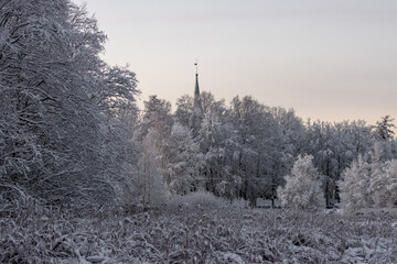 Fototapeta na wymiar snow covered trees with a church tower peaking through
