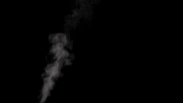 Rising up, writhing, changing its shape smoke, steam, gas, condensate on a black background. Swirling, writhing smoke to overlay