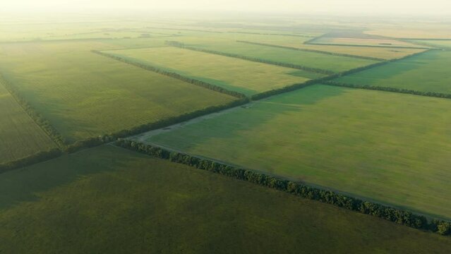 Field harvest view landscape forest plants food nature botanic