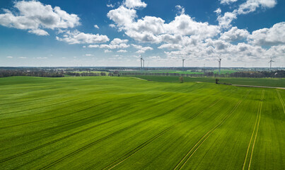 Pole i wiatraki © Adam