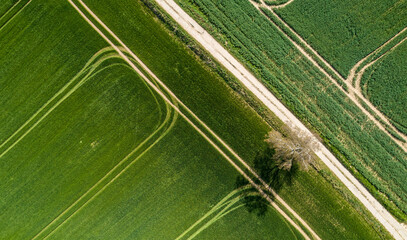 pole i droga © Adam