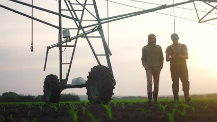 irrigation agriculture. two silhouette farmers working in the field business examining installation for irrigating corn in field. irrigation agriculture concept. farmers work in a field with corn