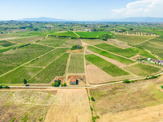 Tuscany in Vinci landscape with panorama