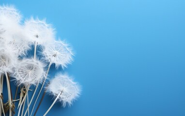 Elegant White Dandelion against a Blue Background. Generative AI