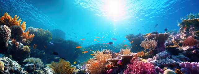 Coral reef with fish in the ocean