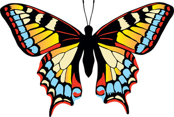 Vector colorful butterfly. A beautiful insect with large colored wings. Drawing of a flying beetle..