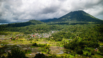 Fototapeta premium stunning rice fields at the foot of the mountain