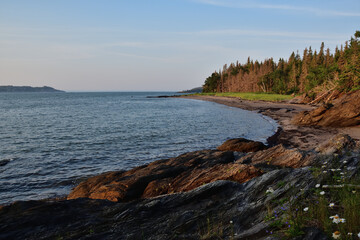 St-Lawrence river shore line at sunrise. Exposed rocks and tree line. Ile aux Lièvres