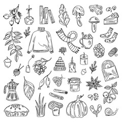 Autumn set of line design elements. Fall, Thanksgiving Day, Pumpkin season. Vector illustration