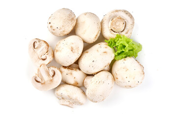 Champignons, close-up, isolated on white background.