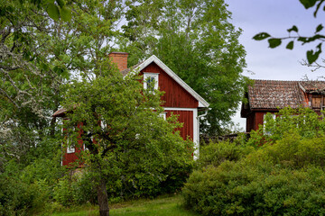 Red wooden houses in Sweden