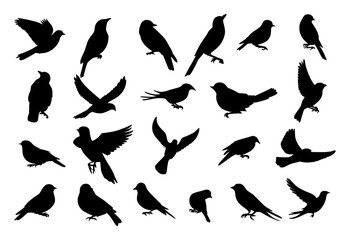Fototapeta na wymiar set of bird silhouettes on isolated background